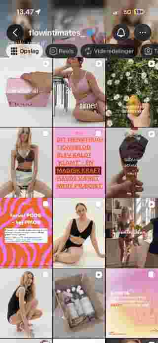 Et grid af en Instagram-profil