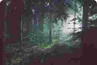 Scanlux